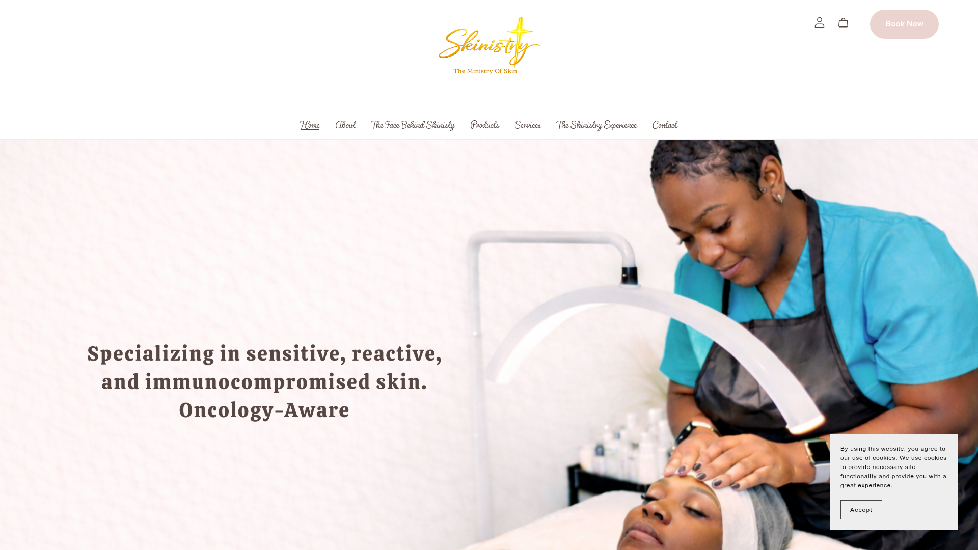 Skinistry preview